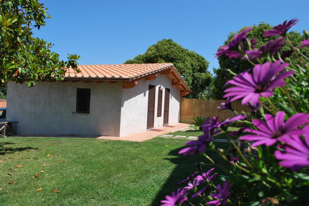 Agriturismo La Valle Di Ceri تشيرفيتيري المظهر الخارجي الصورة