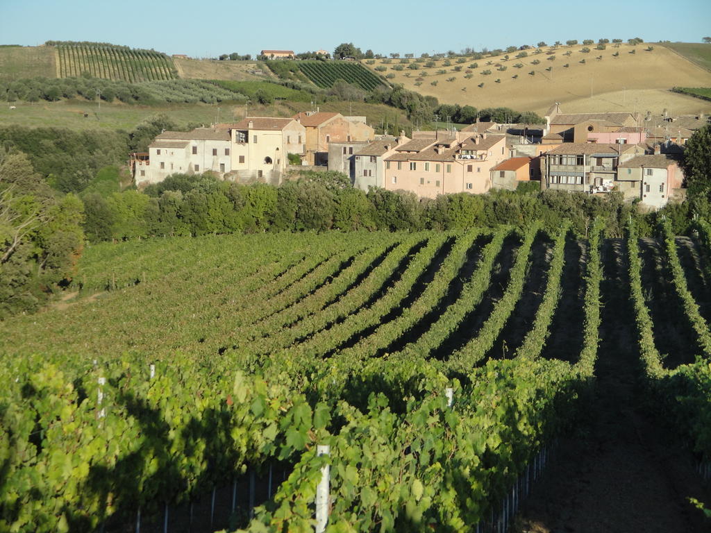 Agriturismo La Valle Di Ceri تشيرفيتيري المظهر الخارجي الصورة